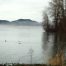From the Mist (Photo)