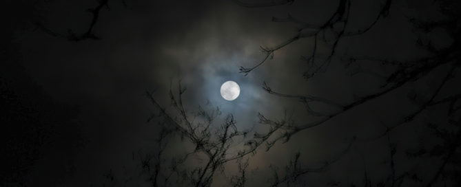 Moons Nest (Photo)